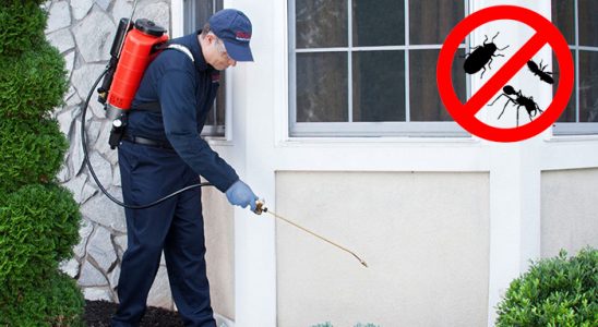 Çardak Gümüşkurt İlaçlama böcek ilaçlama ve haşere kontrolü — ilaclama-tr.com